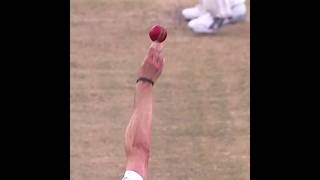 Dale Steyn Sets Up Brad Haddin With Genius Outswing Bowling  Analysis [upl. by Ainek466]