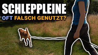 Wie DEINE Einstellung alles verändert Schleppleine ersetzt keinen Freilauf [upl. by Carlynne]