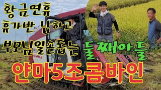 얀마5조콤바인작업 부모님일손돕는 둘째아들최고 👍 [upl. by Munsey]