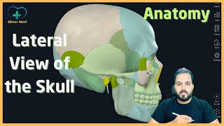 Skull  Lateral view  Anatomy  DrAbdulah Nagaroglu  Aboo Med  Lec 2 [upl. by Nahtaoj362]