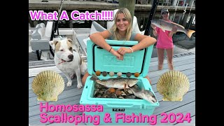 Scalloping amp Fishing Homosassa FL 2024 [upl. by Delores]