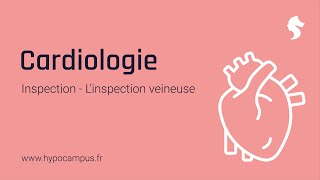 Linspection veineuse  Inspection de Cardiologie [upl. by Drarej]