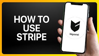 How To Use Stripe On Big Cartel Tutorial [upl. by Ahtnamys]