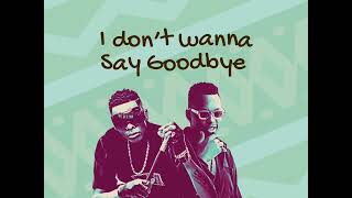 Allan Toniks ft Jose Chameleone GoodBye Lyrics [upl. by Ynney]