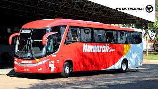 Rodoviária de Jales  Movimentação de ônibus 2022 [upl. by Adiene236]