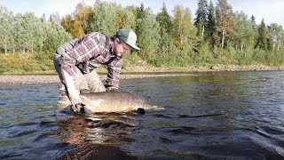 Väylä  Kalaukko Fly Fishing [upl. by Agace103]