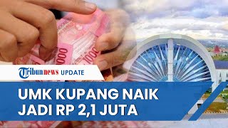 Catat UMK Kupang 2023 Naik Jadi Rp 21 Juta Perusahaan Diminta Taat Pengupahan Sesuai Aturan [upl. by Delmore3]