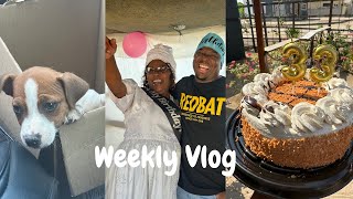 Weekly Vlog Surprising our Mother on her Birthday Getting our Fur Baby [upl. by Atineb314]