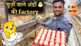 9000 ब्रॉईलर ब्रीडर और महीने का 1 करोड़ रुपए  Fully automatic poultry farm By Gartech [upl. by Lennahs990]