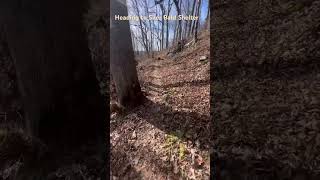 Hiking on the Appalachian Trail hikingadventures hiking adventure [upl. by Grand403]