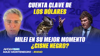 CUENTA CLAVE DE LOS DÓLARES MILEI EN SU MEJOR MOMENTO ¿CISNE NEGRO  Maxi Montenegro MaxiMediodía [upl. by Araed]