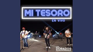 Mi Tesoro En Vivo [upl. by Natasha318]