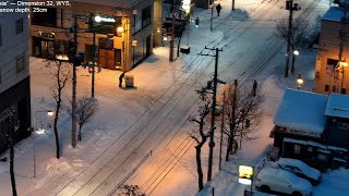 Snow falling on New Years Day in Sapporo lofi radio 2 hours  January 1 2024 [upl. by Seravart]