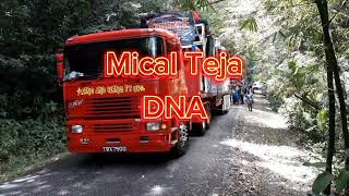 Mical Teja  DNA [upl. by Arodaeht761]