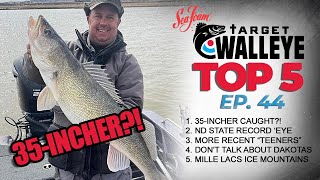 Target Walleyes Top 5 of the Week 🔥 Ep 44 [upl. by Garda312]