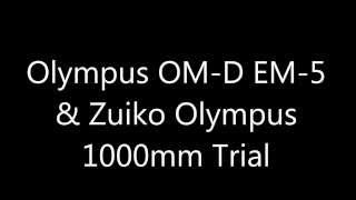 Olympus OMD EM5 amp Zuiko Olympus 1000mm Trial [upl. by Argus]