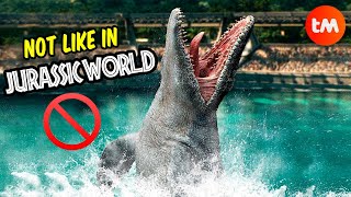 10 THINGS You Didnt Know About MOSASAURUS 🤔 [upl. by Yug516]