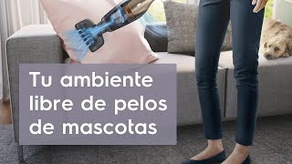 Aspiradora Inalámbrica Electrolux ERG26 Ambiente libre de pelos de mascotas [upl. by Annwahsal732]