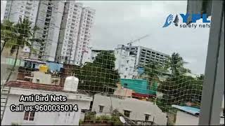 AntiBird Nets Installation in Chennai  YPL Safety Nets Near You [upl. by Notlek14]