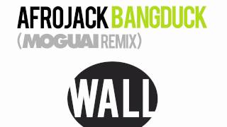 AFROJACK  Bangduck Moguai remix [upl. by Sirenay]