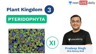 NEET Plant Kingdom  Lecture 3  Pteridophyta  Class 11  Unacademy NEET  Pradeep Sir [upl. by Mogerly458]