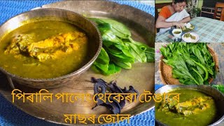 Pirali paleng thekera tenga mas  Assamese fish recipe  Sour fish curry  Spinach fish recipe [upl. by Lamberto]