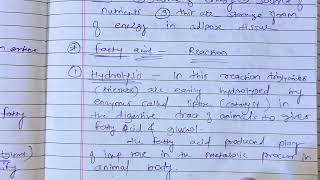 fats and oils fatty acid reactions b pharm msc chemistry hydrogenation reactions fatty acidhydrolys [upl. by Salvatore]