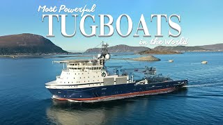 Top 3 Most Powerful Tugboats in the World🥳 [upl. by Ebaj]