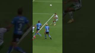 😂 hammarby bajen allsvenskan halmstad [upl. by Ayaj]