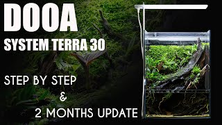 How to set up a paludarium  2 months update  Dooa System Terra 30 [upl. by Oludoet]