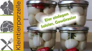 Eier einlegen  Soleier  Gewürzeier [upl. by Esinel]