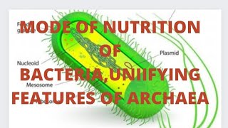 MODE OF NUTRITION OF BACTERIAUNIFYING FEATURES OF ARCHAEA [upl. by Orazio]