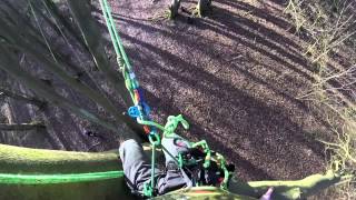 Gigantische boomschommel  Giant tree swing [upl. by Ennairek795]