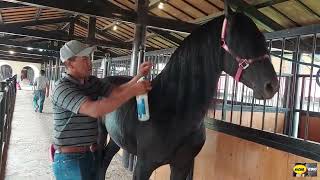 CABALLOS FINOS EN LAS CORRALETAS DEL RANCHOSOLO LO MEJOR EN CABALLOS DE ALTA ESCUELA [upl. by Maryanna]