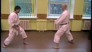 Heian Shodan kata effective bunkai 4 [upl. by Nnyloj]