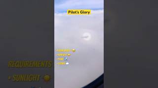 Experienced Pilot’s Glory ie Circular Rainbow🌈 for the first time youtubeshorts video physics [upl. by Ilegna]