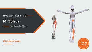 Fersenschmerzen und Achillessehne  M soleus als Ursache [upl. by Naesal]