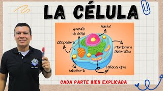 LA CÉLULA ESTRUCTURA Y FUNCIÓN CELULAR MITOCONDRIAS RIBOSOMAS LISOSOMAS ETC [upl. by Allebara]