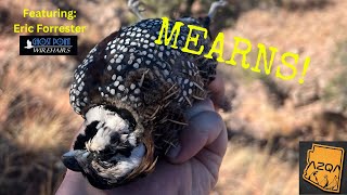 AZ Quail Adventures  Mearns W Eric Forrester [upl. by Alvar684]