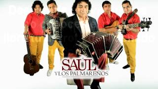 SAUL Y LOS PALMAREÑOS DESCARADA 2016 letra [upl. by Valenza]