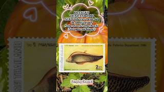 PRANGKO THAILAND 1986 Fisheries Dept60th Anniversary Aubenton Featherback Notopterus blanci [upl. by Asirret]