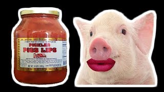 Lets Try Pickled Pig Lips  Pickled Meat in a Jar  WHAT ARE WE EATING  The Wolfe Pit [upl. by Diannne]