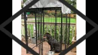 Lucky Dog Uptown Welded Wire Kennel Review4by4by6 Foot CL60544 [upl. by Sucramal]