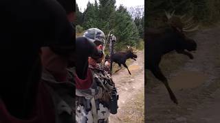 Ek nilgai Ka Shikar hunting elk archery deer bowhunting viralreels bigtiger viralvideo [upl. by Roseanne45]