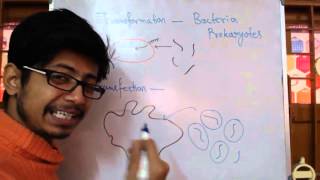 Transformation Vs Transfection [upl. by Edualcnaej]