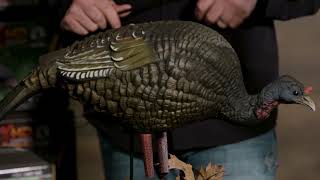 Higdon Outdoors  Feeder Hen Turkey Decoy [upl. by Egief]