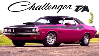 1970 Dodge Challenger TA – History Specs amp Why It Got Cancelled TransAm Series Part 1 [upl. by Child]