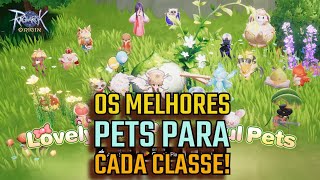 Ragnarok Origns ROO  QUAL O MELHOR PET PARA CADA CLASSE [upl. by Salba]