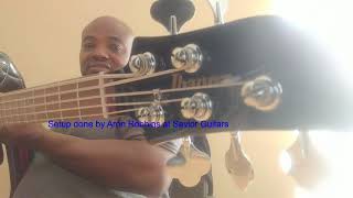 Budget Bass SeriesIbanez TMB 105 5String Demo [upl. by Ramin]