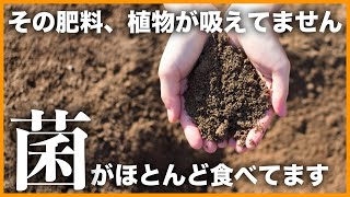 【やっとわかった】土壌微生物基礎講座【糸状菌・細菌・放線菌・バチルス・光合成細菌・納豆菌・酵母菌・菌根菌他】 [upl. by Faydra]